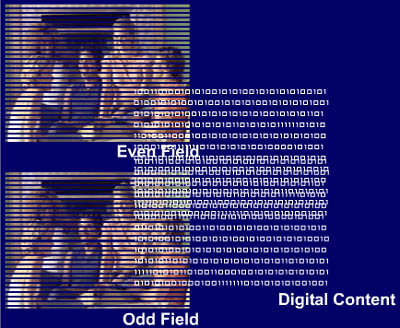 Veiled Video