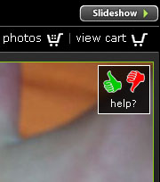 smugmug.jpg