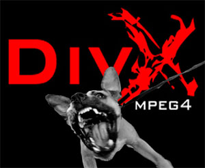 divx.jpg