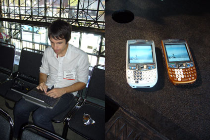 peter-palm.jpg