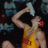 wrestle.jpg