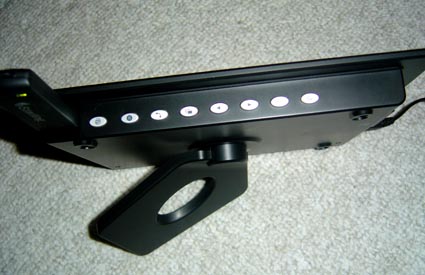 estarling3.jpg