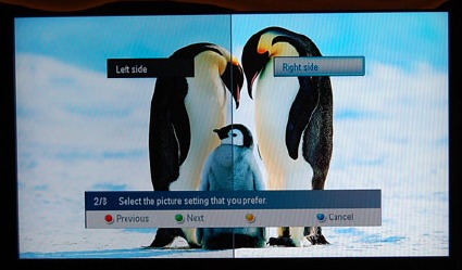 penguintv.jpg
