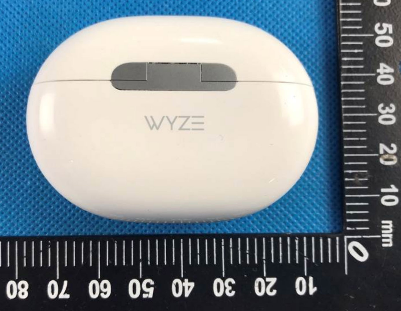 Wyze Buds Pro Case